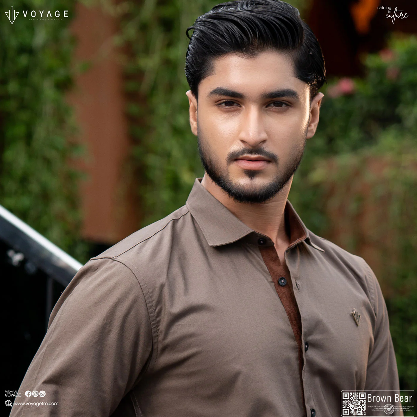 Brown Bear - Formal - Image 3